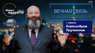 Вечная связь |  Алекс Пручанский