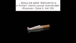 Абу-Хьамза | Сигерик