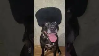 только освободился 
