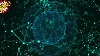 мае INTRO