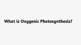 What is Oxygenic Photosynthesis ?