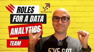 Roles in a Data Analytics Team