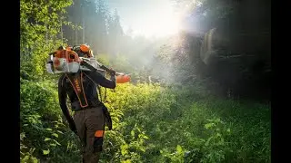 Покос бурьяна цена
