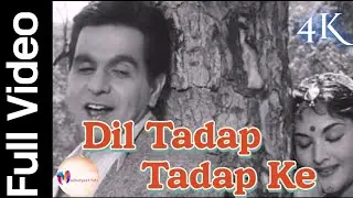 Dil Tadap Tadap Ke Kah Raha || Song By Mukesh & Lata Mangeshkar (1958)