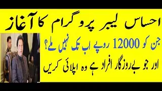 Ehsaas Labour Unemployment Program | Ehsaas Labour Cash Program | How to Apply