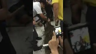 喬大佬紮火龍