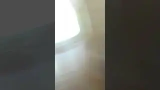 21 мая 2024 г.