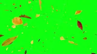 Falling Autumn Leaves on Green Screen Falling Away from the Camera Top View Background Seamless Loop
