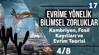 Kambriyen, Fosil Kayıtları ve Evrim Teorisi 4/8 (Türkçe Altyazılı)