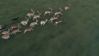 Аэросъемка