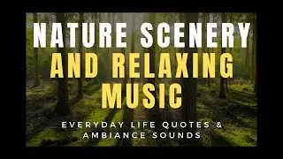 Amazing Sunset Footage & Sunrise Footage With Amazing Nature Scenery Vol 1