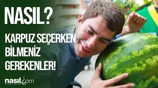 KARPUZUN İYİSİ NASIL ANLAŞILIR? İŞTE KARPUZ SEÇERKEN BİLMENİZ GEREKEN 5 PÜF NOKTA! 