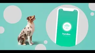 Produkttest hundeo App