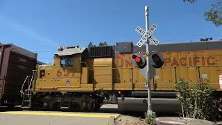 Sunrise Station Pedestrian Crossing - UP 726 Florin Flyer Local - SacRT Pass, Rancho Cordova CA