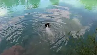 Feeding the catfish at The Family Compound in Moores Hill Indiana