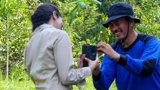 Reforestation: Rebuilding What Was Lost