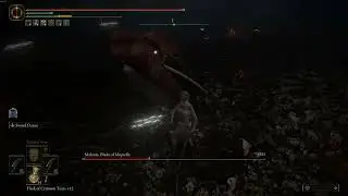 Elden Ring Malenia Can anyone do this no anything no hit  basic attack ng+1