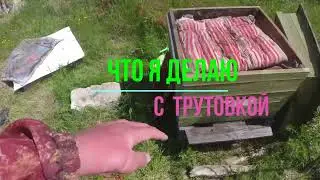 СЕМЬЯ ТРУТОВКА -ЧТО Я ДЕЛАЮ С ПЧЕЛОЙ ТРУТОВКОЙ