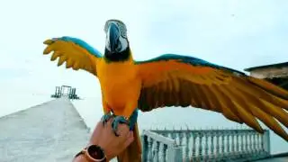 MVMT: Take Flight