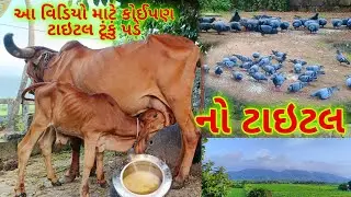 આ વિડિયો માટે કોઈપણ ટાઇટલ ટૂંકું પડે...Cow milking video