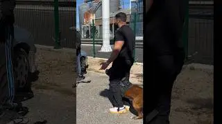 Heureusement que Nino était là 🐕😱😱 