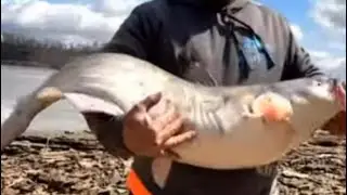 Three simple rigs that will help your bank fishing success and a secret for better results!