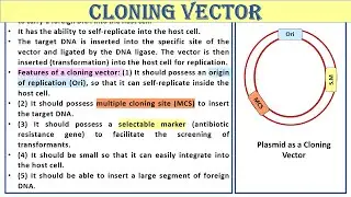 Cloning Vector | Study Smart Not Hard