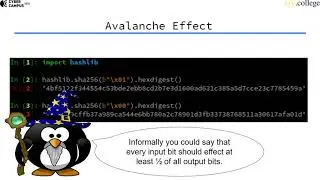 Avalanche Effect
