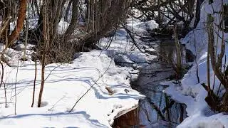 Апрельский ручей