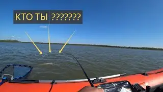 🤷‍♂️🤷‍♂️🤷‍♂️ НЕ СМОГ ВЗЯТЬ КРОКОДИЛА 😪😪😪😪