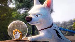 A TV Show Dog, Convinced Of His Superpowers, Rescues His Co-Star From A Perceived Threat