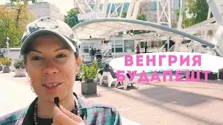Не ожидали. Что мы увидели.