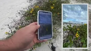 Take better photos with your phone