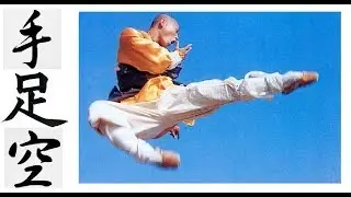 УДАРЫ и движения ушу КУНГ ФУ