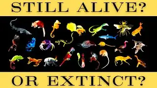 25 Most Wanted Lost Species - Which Ones Have Been Rediscovered?