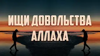 Довольство Аллаха