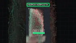 НЕЙРОН В НЕЙРОСЕТИ