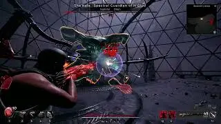 Sha'Hala - No Damage Corrupted Savior (Apocalypse)