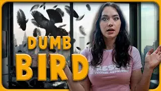 Why she's terrified of birds