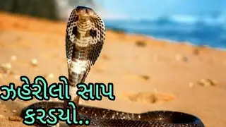 ઝહેરીલો સાપ કરડયો..Sab RAS GYAN