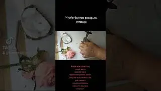Как быстро открыть устрицу ) Открываю устрицу за 7-10 секунд)