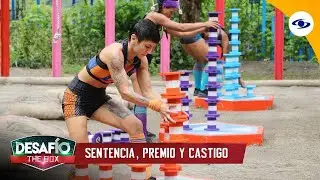 The Box Challenge 2022: Speed ​​and accuracy! Teams battle for the Prize and the Punishment