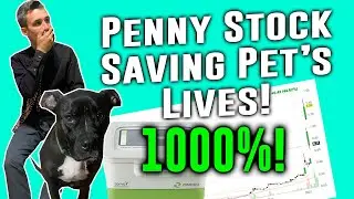 This Penny Stock Is Making HUGE Moves | Zom Stock Analysis