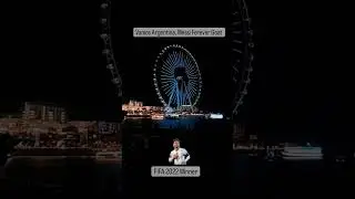 Dubai Celebrates Argentina's Win | Celebrations, FIFA World Cup 2022  #vamos #shorts #ytshorts