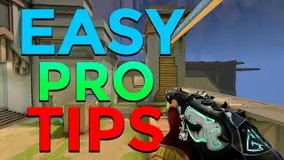 5 Tips From PRO PLAYERS To Improve Aim FAST!