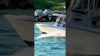 Did he soak it? Small boat smashes waves at Haulover Inlet