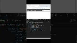 How to create Responsive Search Bar in HTML & CSS 