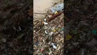 Кэш бег!Все вернётся ,надо только подождать 😄