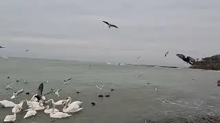 8.02.Анапа.👍🛥️