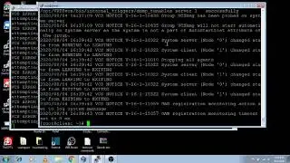 10. (VCS) Veritas Cluster Server Local build Remote Build